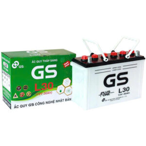 ẮC QUY GS L30