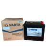 ẮC QUY VARTA Q-85/95D23L